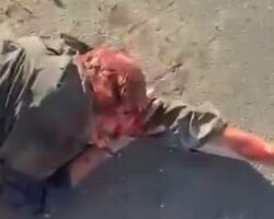 Traffic accident in Syria left one person dead and four injured