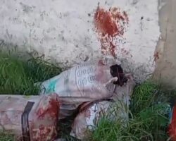 Two dismembered bodies found in plastic bags near gas station