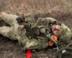 Ukrainian forces captured and cleared Russian positions