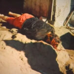 Wife killed her husband with axe