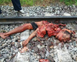 Brutal aftermath of man being struck by train