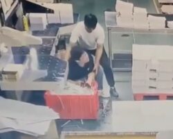 Cardboard factory worker loses both hands