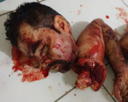 College professor found decapitated and dismembered