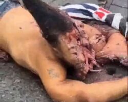Comando Vermelho member killed in failed attack