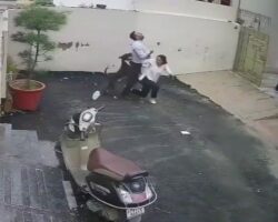 Couple brutally attacked by pitbull