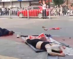 Driver hits pedestrians, killing several of them