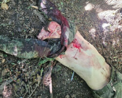 Fallen Russian soldier on battlefield #15