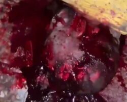 Former police officer mistakenly stoned to death by enraged mob
