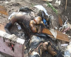 Gang members exhumed and desecrated body of their rival