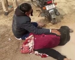Gruesome aftermath of collision with truck