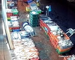 Gunman chases down man and kills him