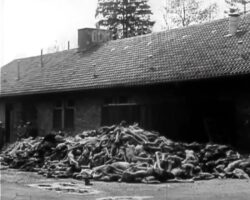 Historical footage of Dachau Nazi concentration camp