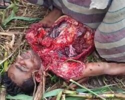 Indian man mauled to death by leopard