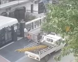 Lineman electrocuted while repairing power line