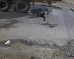 Man crushed by reversing truck in India