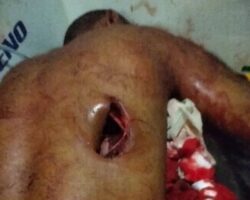 Man gored to death by bull in Colombia