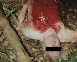 Man stabbed himself to death in woods with kitchen knife