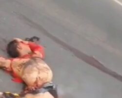 Motorcyclist killed in crash with shrimp truck