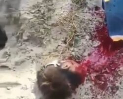 Myanmar farmer beaten and beheaded