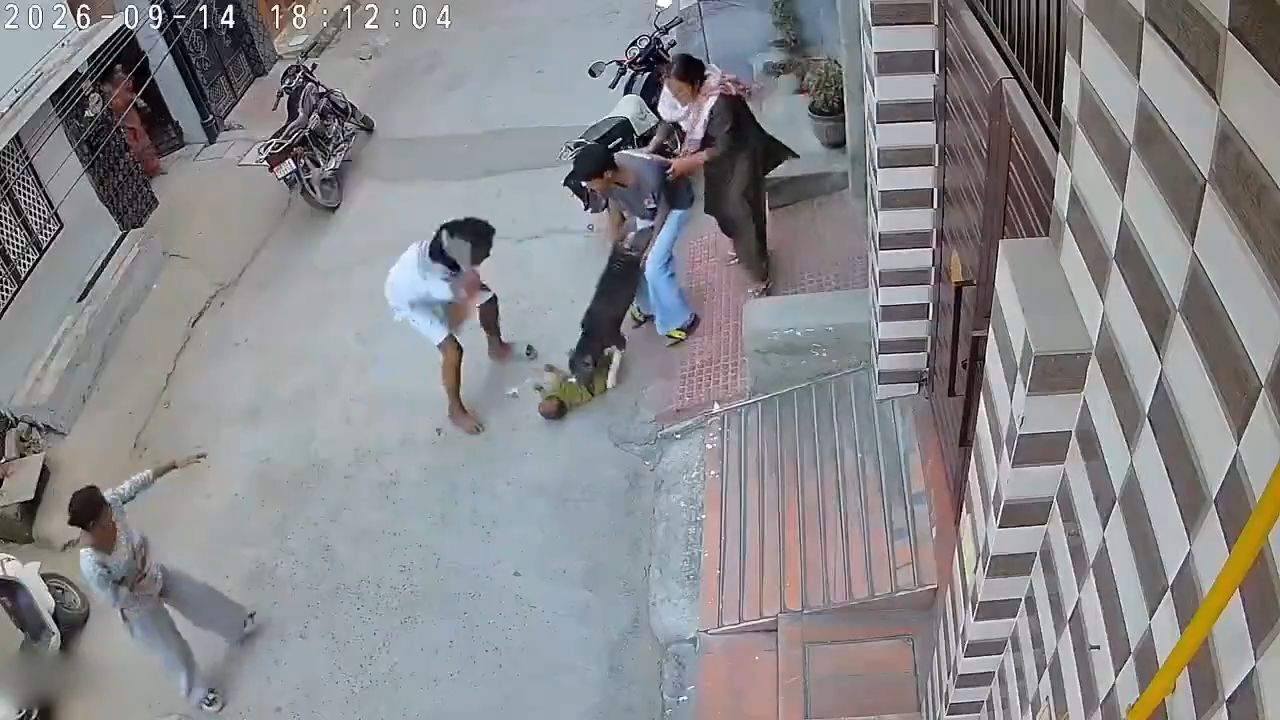 Pit bull snatches baby from woman’s arms • GoreCenter