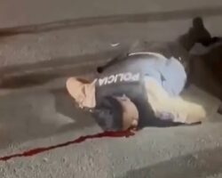 Police officer fatally struck by van during traffic stop