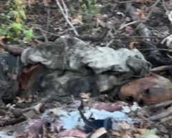 Remains of two Russian soldiers found on battlefield
