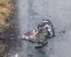 Russian soldier eliminated by Ukrainian drone #2