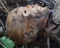 Russian soldier found in advanced state of decomposition #2