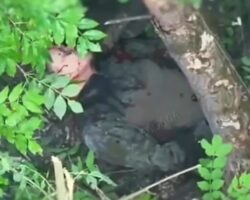 Russian soldier unsuccessfully attempts suicide