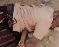 Saudi-backed general assassinated in Yemen