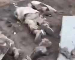 Seven Ukrainian soldiers killed in failed assault on Russian positions