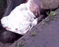 Theft suspect stoned to death