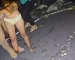 Tragic bus crash leaves 11 dead