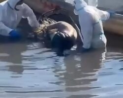 27-year-old man found dead in water in Costa Rica