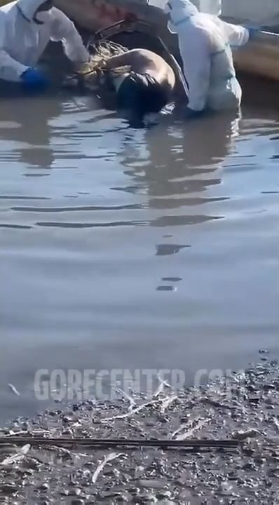 27-year-old man found dead in water in Costa Rica • GoreCenter
