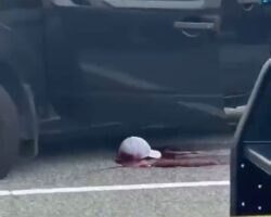 49-year-old man fatally shot by police in North Carolina