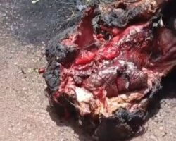 Alleged cannibalism video from Mali
