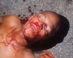 Brazilian thug gets beaten by angry mob