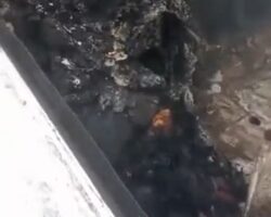 Burned to crisp inside wreckage of car