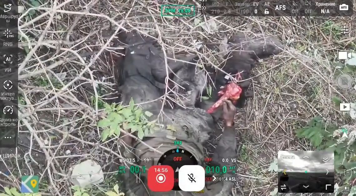 Cat gnawed on corpse of Russian soldier • GoreCenter