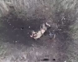Colombian mercenary eliminated by Russian drone