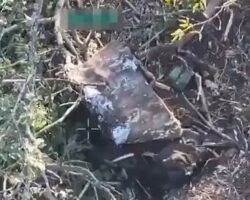 Dead Russian soldiers seen along front-line road #2