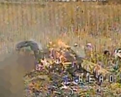 Dead body of Russian soldier burning after drone strike