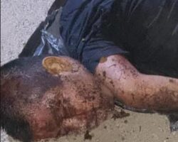 Decapitated and mutilated body found in Mexican town