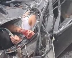 Driver dies in collision with garbage truck