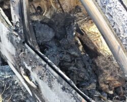 Driver found dead in burned vehicle