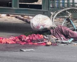 Elderly female cyclist fatally crushed by truck