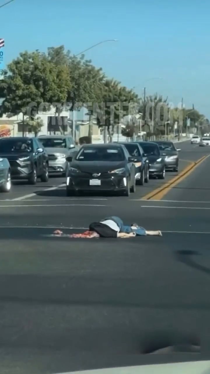 Elderly scooter rider dies in traffic collision • GoreCenter
