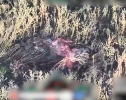 Explosion sends Russian soldier flying #4