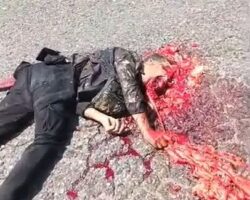 Fatal crash leaves motorcyclist dead